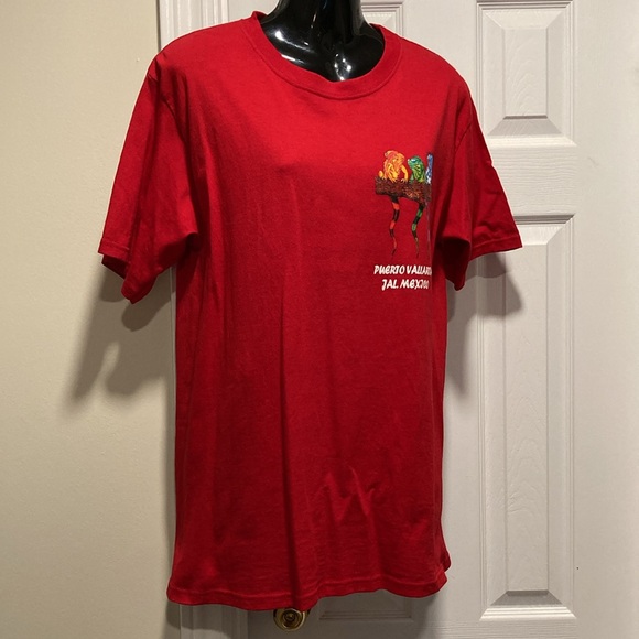 ❤️ 2/$30 * ❤️ Puerto Vallarta Short Sleeve Unisex Souvenir T-Shirt - Sz M - Picture 3 of 10